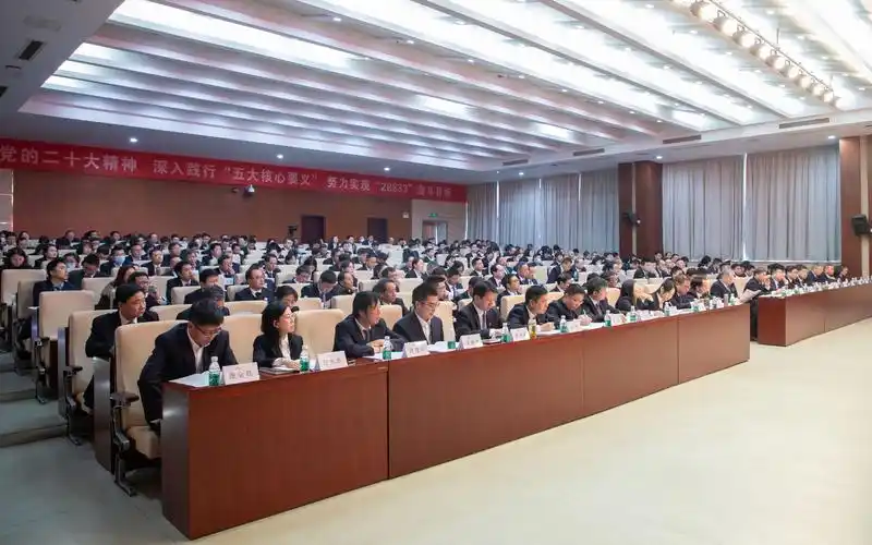 2024先进电子材料产业发展（滁州）大会召开
